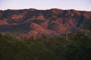 Sunset at Saguaro National Park in Tucson, Arizona