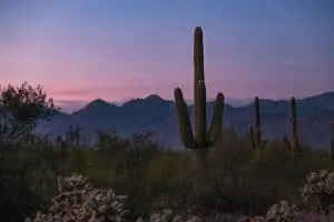Sunset on a hiking trail in Tucson, Arizona