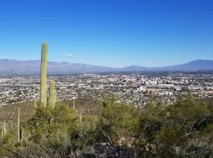 Tumamoc Hill Trail in Tucson