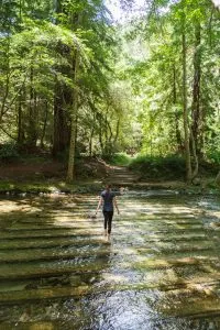 Big Sur River