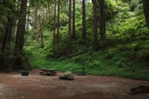 Campground at Limekiln State Park in Big Sur, California
