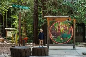 Pfeiffer Big Sur State Park