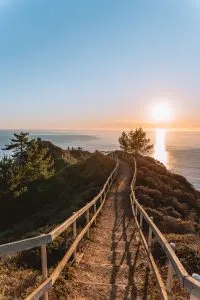 The trail at Muir Beach Overlook