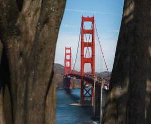 Best Hikes in San Francisco