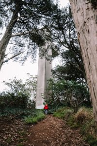 Hike to the top of Mt Davidson, one of the best urban hikes in San Francisco
