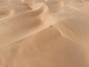 Oceano Dunes