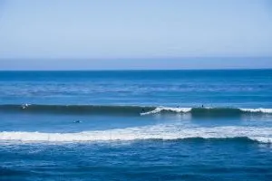 Surfing at Pleasure Point in Santa Cruz, CA