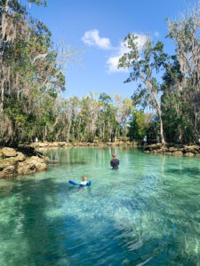 Swimming in Three Sisters Springs in Crystal River, Florida
