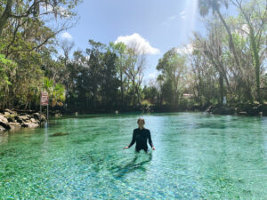 Swimming in Three Sisters Springs in Crystal River, Florida