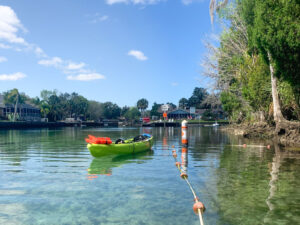 Kayaking with Manatees in Crystal River, Florida
