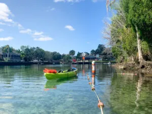 Kayaking with Manatees in Crystal River, Florida