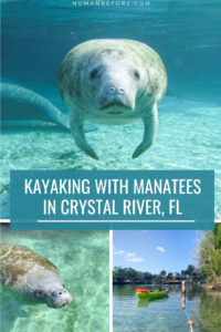 Kayak and Swim with manatees in Crystal River, FL