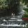 Tabacon Hot Springs in La Fortuna, Costa Rica